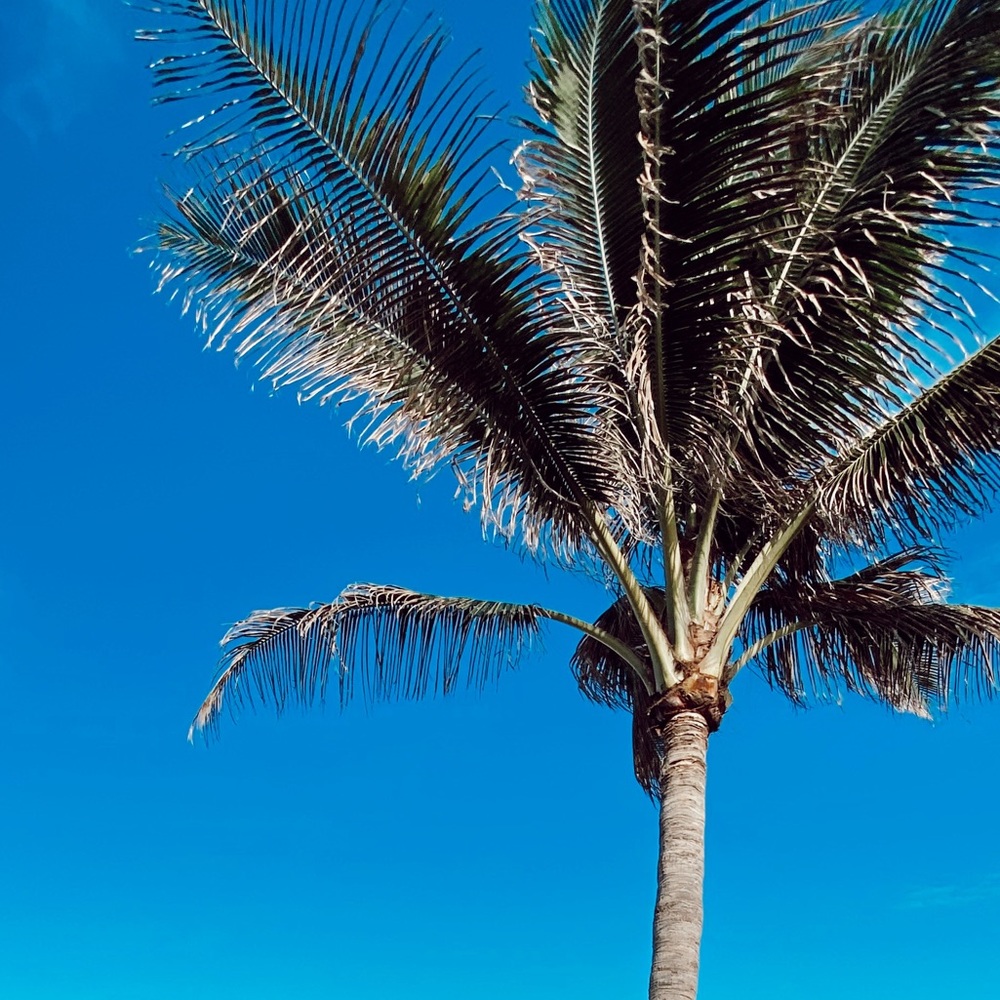 Meet your Posher, Ashlin